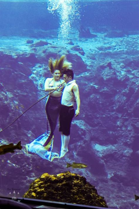 21 Weeki Wachee Mermaids Facts You Never Knew Our Roaming Hearts