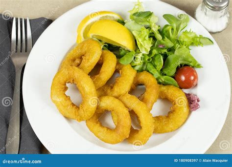 Roman Style Squid Platter Stock Image Image Of Fritters