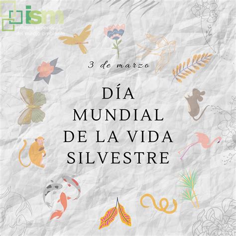 Álbumes 97 Imagen Día Mundial De La Vida Silvestre Actualizar