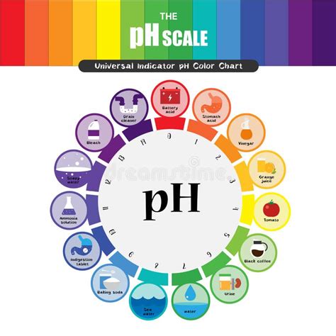 Scala Di Ph Grafico A Colori Della Cartina Al Tornasole Illustrazione