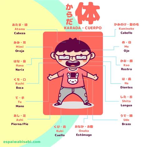 Hoy Aprendemos El Vocabulario B Sico Sobre Las Partes Del Cuerpo Humano