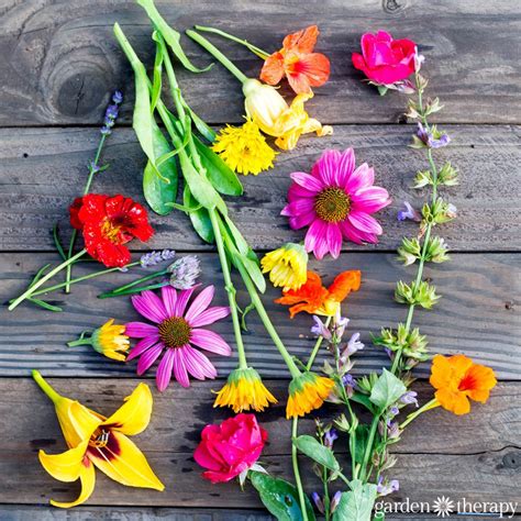 The Ten Best Edible Flowers to Grow in Your Garden