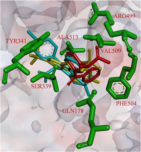 Structure Of Docked Inhibitors At The Active Site Of COX 2 Celecoxib