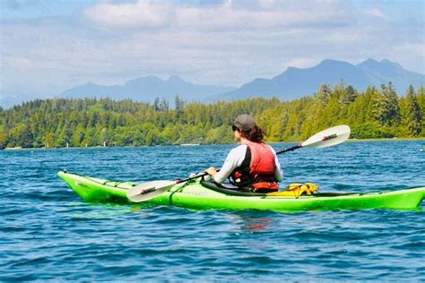 2023 Ucluelet Harbour Tour Provided By Hello Nature Adventure Tours