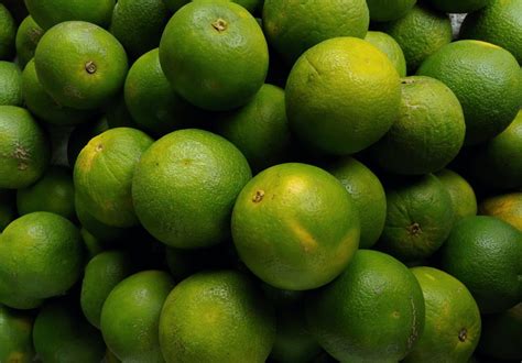 Can You Compost Limes? | Composting Limes Made Easy