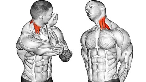 7 Exercises To Strengthen Your Neck YouTube