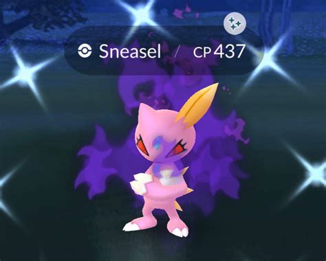 Shiny Shadow Sneasal Photo From A Friend Rthesilphroad