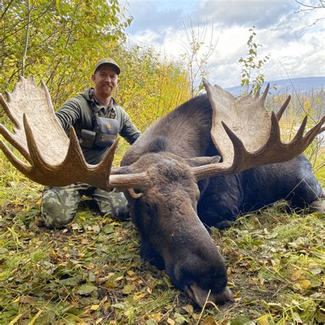 Argo Based Yukon Moose Hunt