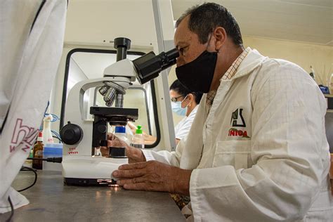 Adelante Instituto De Investigaciones De La Ca A De Az Car Del