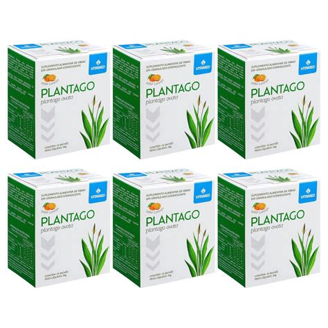 Plantago Ovata Psyllium Rico Em Fibras Regula Intestino Controla O