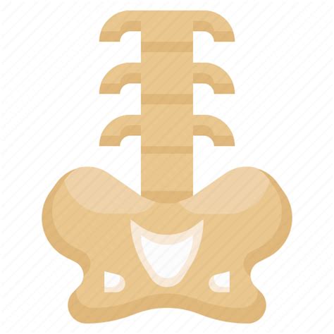 Backbone2 Spinal Column Bones Healthcare Medical Anatomy Icon