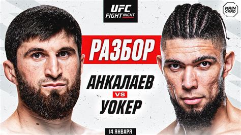 Ufc Fight Night Анкалаев Vs Уокер Технический Разбор Кто Фаворит