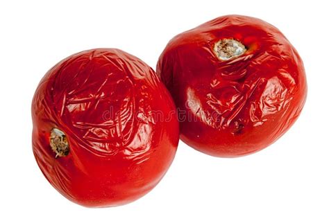 Rotten tomatoes stock image. Image of three, vegetable - 6898565