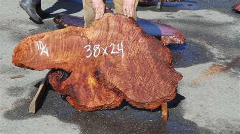 Salvaged Redwood Slabs Redwood Burl Slabs 2 Redwood Burl Inc