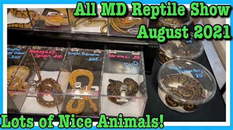 All Maryland Reptile Show August 2021 Geckos Lizards Snakes Ball