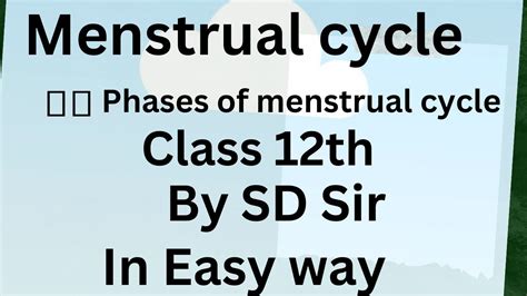 Menstrual Cycle Human Reproduction Class Th Neet Biology Youtube