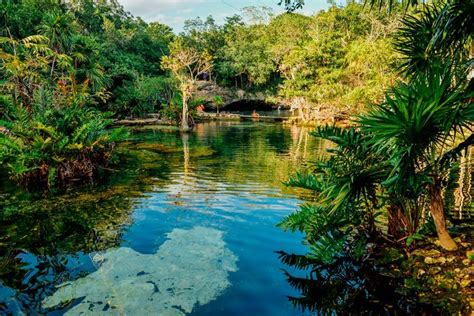 Mejores Cenotes En Canc N Y La Riviera Maya Viajar A M Xico