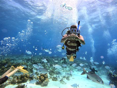 Snorkeling En San Andr S Nautygo