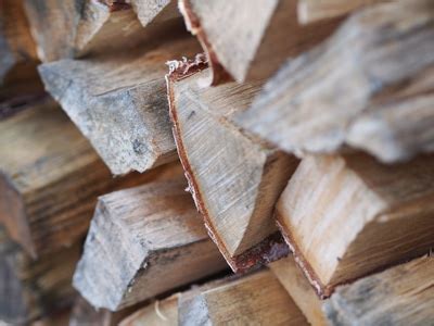 Why Drying Our Own Firewood Matters Premier Firewood Company