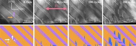 Electron Microscope Images [image] Eurekalert Science News Releases