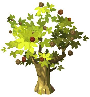 Chestnut tree clipart - Clipground