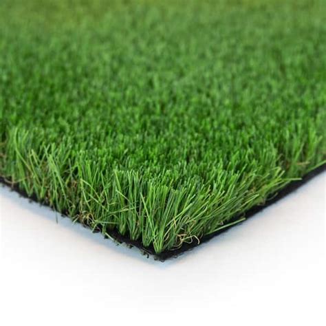 Trafficmaster Fescue Multipurpose Ft Wide X Cut To Length Green