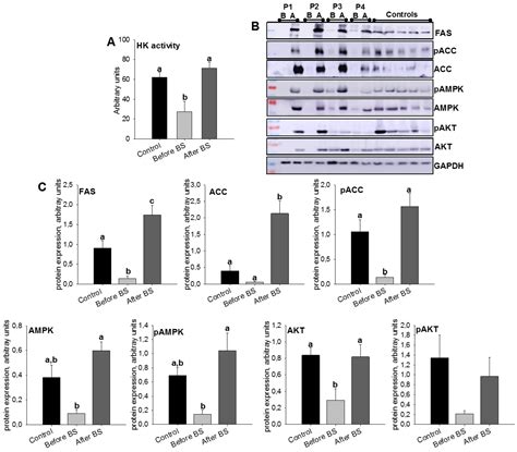 Jcm Free Full Text Beneficial Effects Of Bariatric Surgery Induced