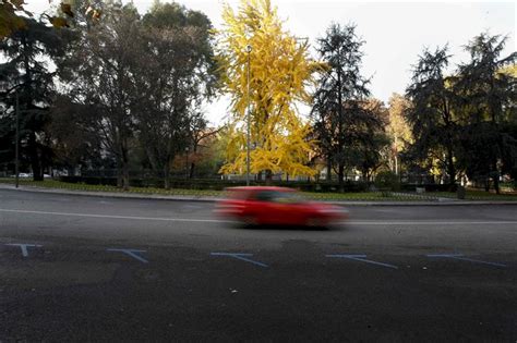 Pozuelo edificará un nuevo aparcamiento público en la estación con 300