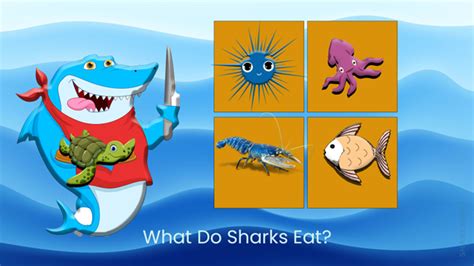 What Do Sharks Eat? – sharksinfo.com