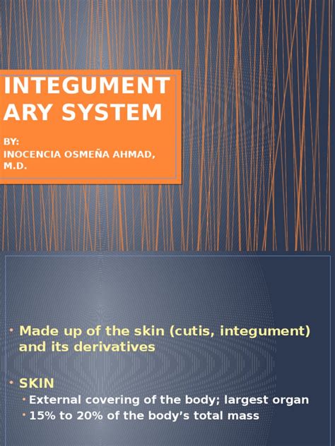 Integumentary System Pdf Skin Integumentary System