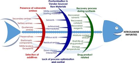 Nitrosamines: A new systematic review - New Scientific Knowledge ...