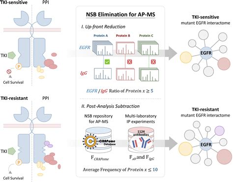 Egfr T790m Mutation Derived Interactome Rerouted Egfr Translocation Contributing To Gefitinib