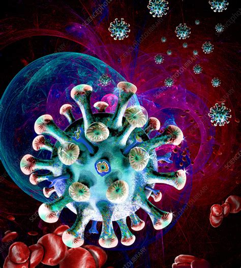 T Cell Illustration Stock Image C057 3867 Science Photo Library