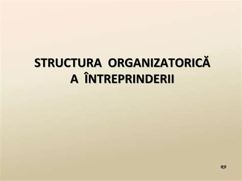 Structura organizatorica a întreprinderii PPT