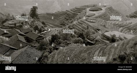 longsheng Rice Terraces Stock Photo - Alamy