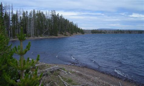 Lewis Lake Yellowstone National Park Fishing Camping Boating Alltrips