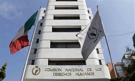 Definen Comisiones Del Senado Terna Para Cndh