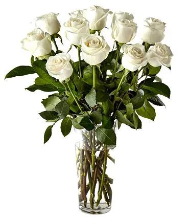 White Roses Bouquet - Sunny Flower Delivery