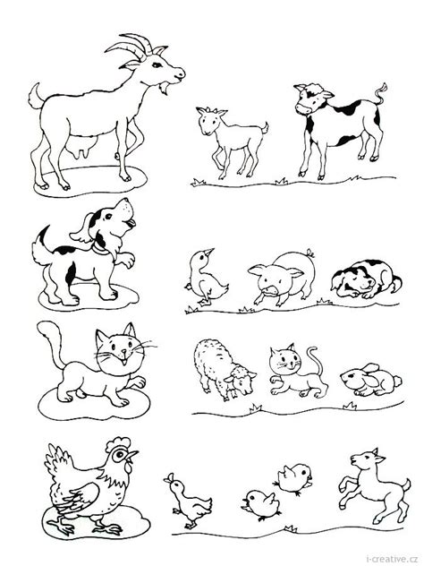 zviratka  mladatka pracovni list preschool printables preschool