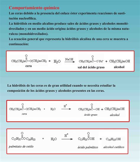 Orgánica ACEITES GRASAS Y CERAS