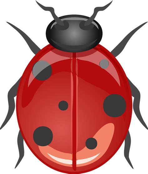 Download Ladybug Beetle Lucky Bug Royalty Free Stock Illustration Image Pixabay