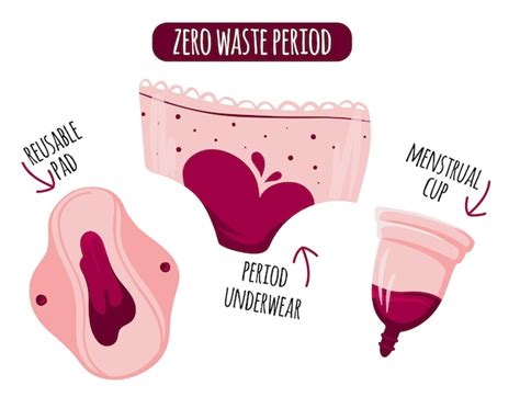 Zero Desperd Cio Per Odo De Menstrua O Copo Menstrual E Almofada