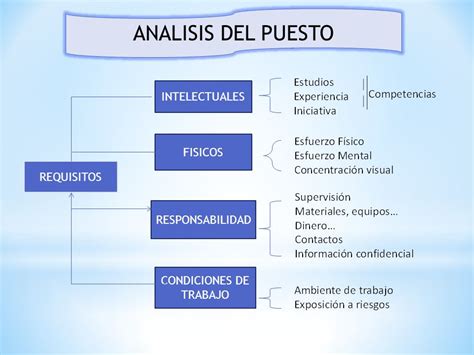 Datos Curiosos Puesto De Trabajo Componentes Y Papelería