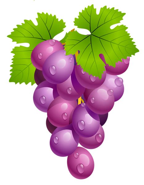 Grapes Fruit Clipart 20 Free Cliparts Download Images On Clipground 2024