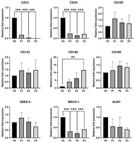 Genes Free Full Text Molecular Profiling And Gene Banking Of Rabbit