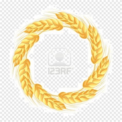 Wheat Wreath Ear CEREAL Rope Fotolia Png PNGEgg