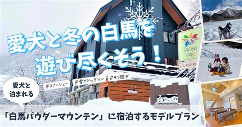 【長野（白馬エリア）】愛犬と泊まれる宿11選！温泉付きのリゾートホテルからペットフレンドリーなペンションまでを厳選（実際のおでかけレポートあり