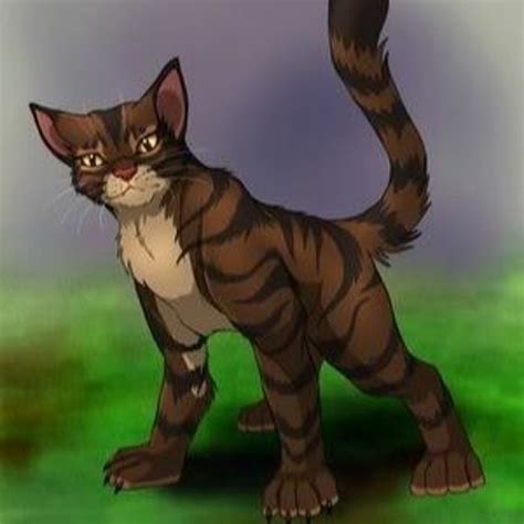 Tigerstar Warrior Cats