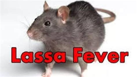 Lassa Fever Strikes Nigeria Healthcare Middle East And Africa Magazine