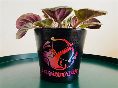 Sagittarius Zodiac Plant Pot 4 Inch Planter With Drainage Etsy